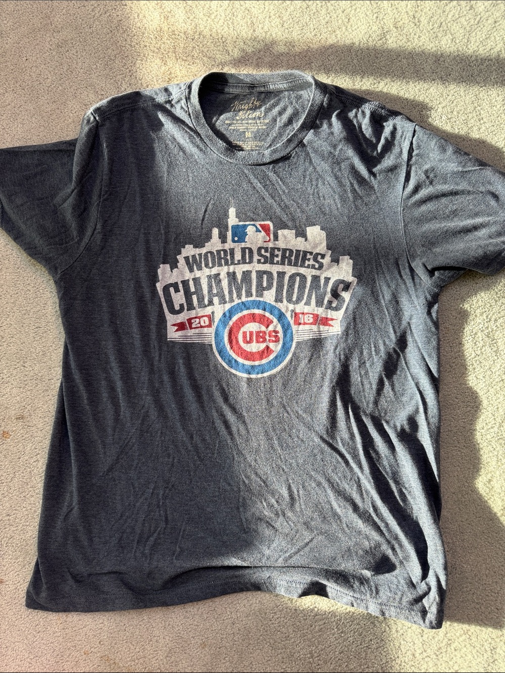 Chicago Cubs World Series Champions 2016 Graphic Tee - Navy - Medium